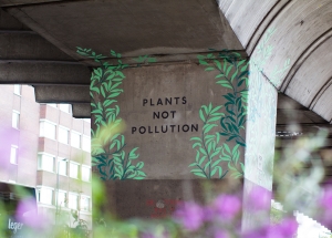 Plants not Pollution